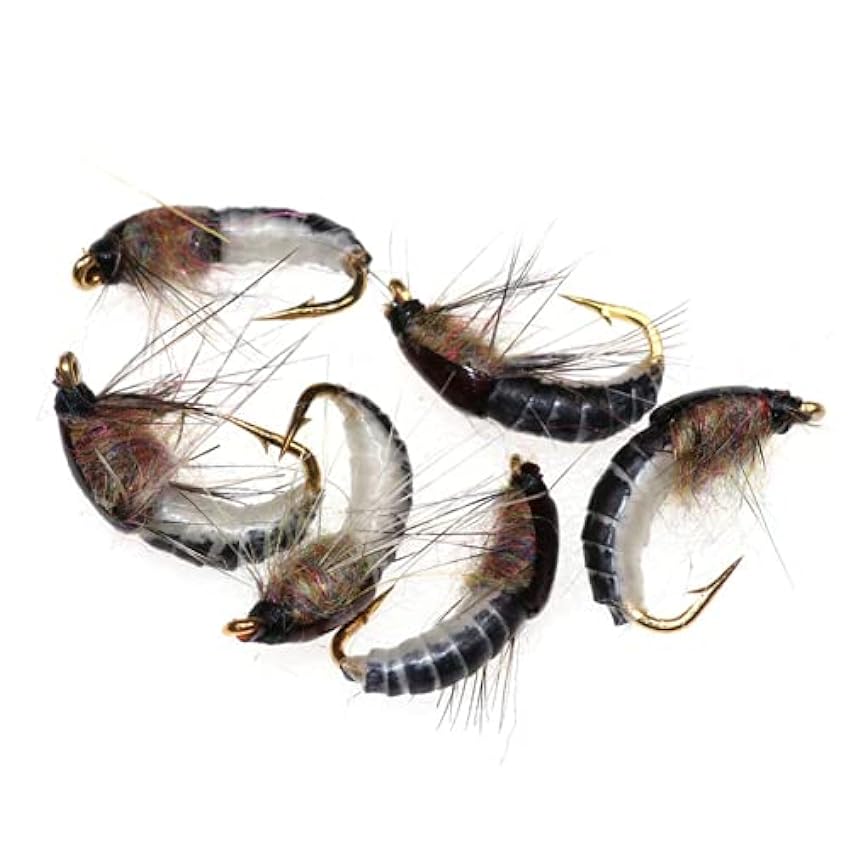 6 pièces 12 réaliste nymphe Scud Mouche pour la pêche à la Truite Insecte Artificiel appât leurre matériel de pêche RDnARYzr